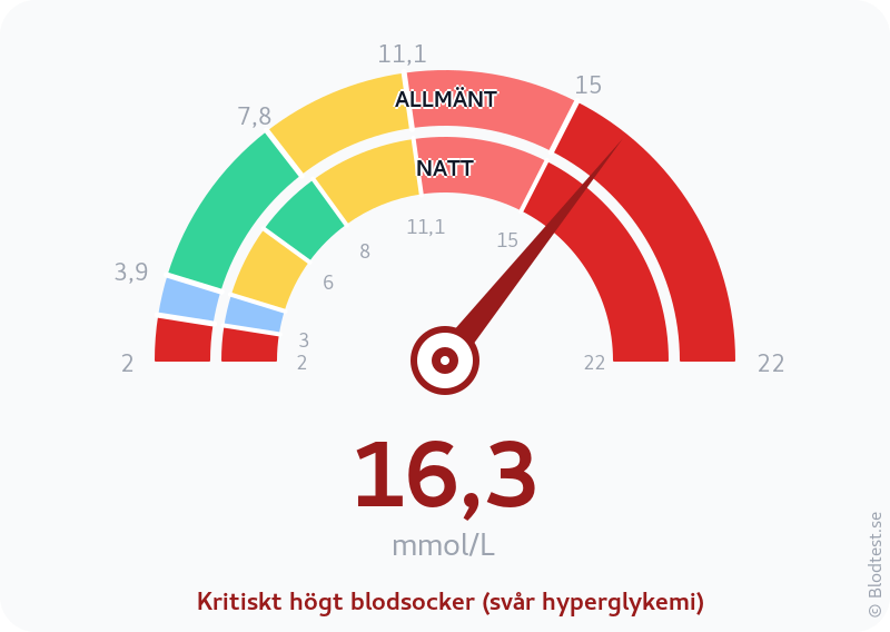 Blodsocker 16,3 mmol/L på natten – kritiskt högt blodsocker (svår hyperglykemi) – visuell mätare
