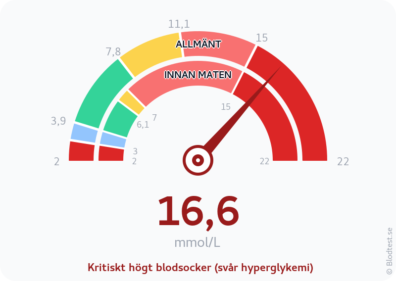 Blodsocker 16,6 mmol/L innan maten – kritiskt högt blodsocker (svår hyperglykemi) – visuell mätare