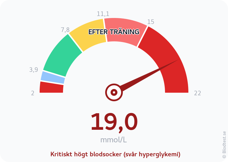 Blodsocker 19,0 mmol/L efter träning – kritiskt högt blodsocker (svår hyperglykemi) – visuell mätare