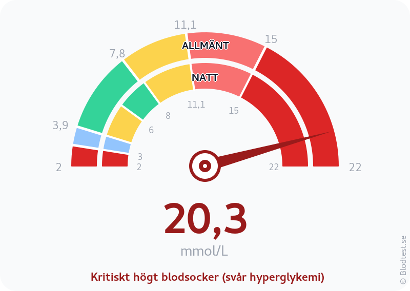 Blodsocker 20,3 mmol/L på natten – kritiskt högt blodsocker (svår hyperglykemi) – visuell mätare