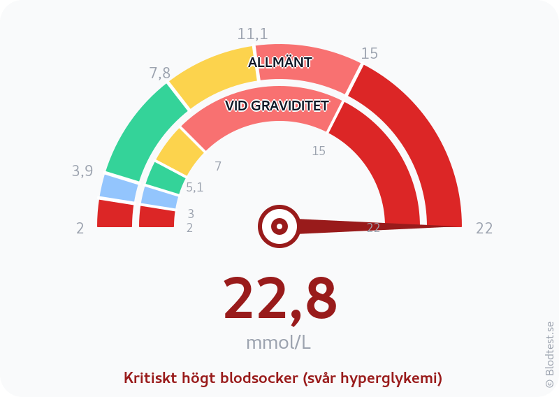 Blodsocker 22,8 mmol/L vid graviditet – kritiskt högt blodsocker (svår hyperglykemi) – visuell mätare