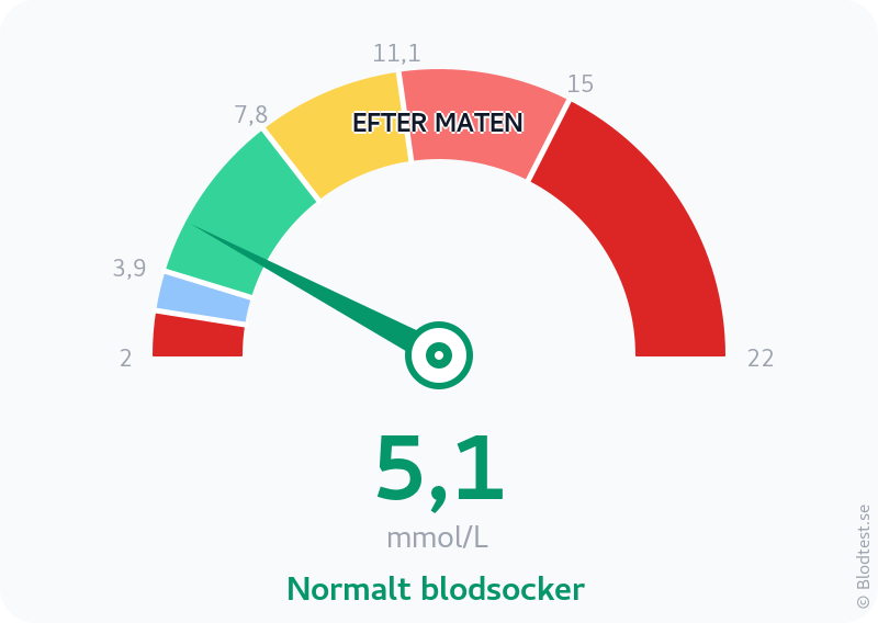 Blodsocker 5,1 mmol/L efter maten – normalt blodsocker – visuell mätare