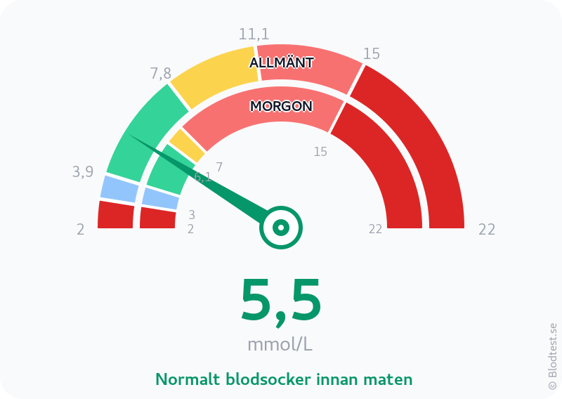 Blodsocker 5,5 mmol/L på morgonen – normalt blodsocker innan maten – visuell mätare