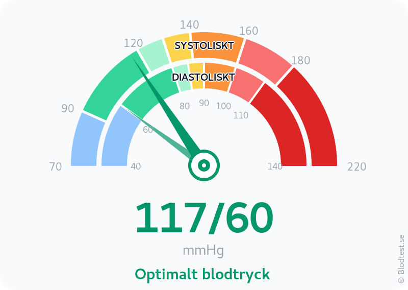Blodtryck 117 över 60 – optimalt blodtryck – visuell mätare
