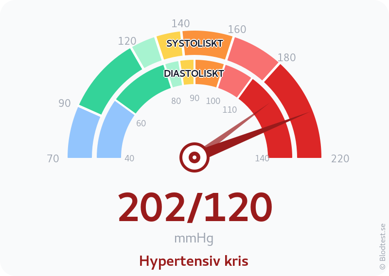 Blodtryck 202 över 120 – hypertensiv kris – visuell mätare