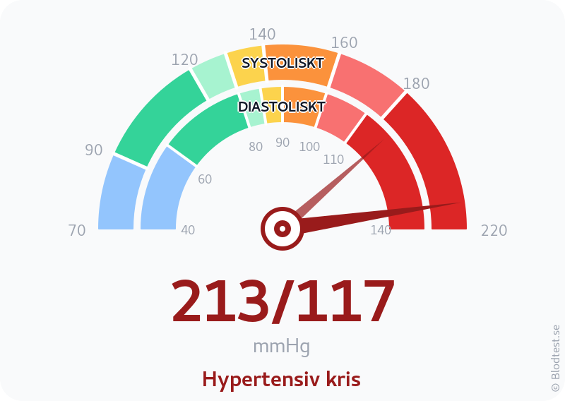 Blodtryck 213 över 117 – hypertensiv kris – visuell mätare