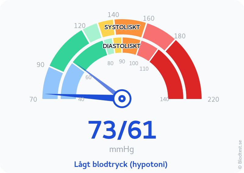 Blodtryck 73 över 61 – lågt blodtryck (hypotoni) – visuell mätare