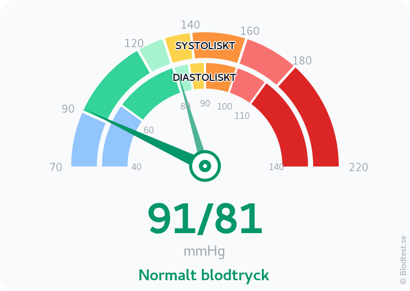 Blodtryck 91 över 81 – normalt blodtryck – visuell mätare