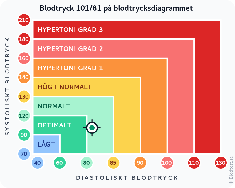 Blodtryck 101 över 81 – normalt blodtryck – klassificeringsdiagram med systoliskt och diastoliskt värde