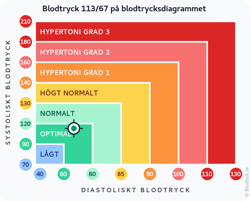 Blodtryck 113 över 67 – optimalt blodtryck – klassificeringsdiagram med systoliskt och diastoliskt värde