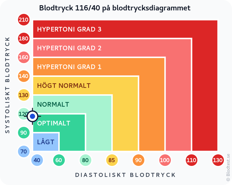 Blodtryck 116 över 40 – lågt blodtryck (hypotoni) – klassificeringsdiagram med systoliskt och diastoliskt värde