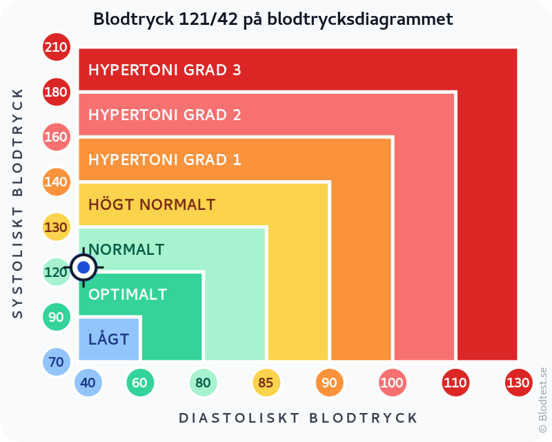 Blodtryck 121 över 42 – lågt blodtryck (hypotoni) – klassificeringsdiagram med systoliskt och diastoliskt värde