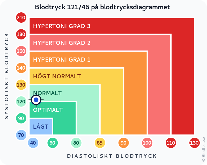 Blodtryck 121 över 46 – lågt blodtryck (hypotoni) – klassificeringsdiagram med systoliskt och diastoliskt värde
