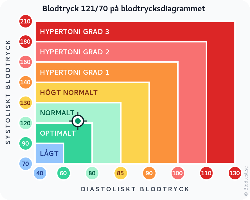 Blodtryck 121 över 70 – normalt blodtryck – klassificeringsdiagram med systoliskt och diastoliskt värde