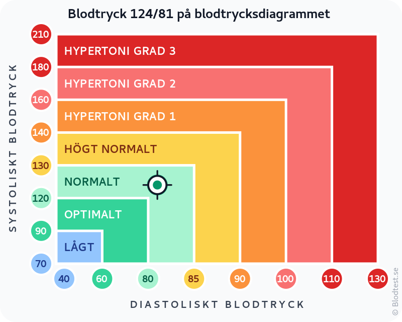 Blodtryck 124 över 81 – normalt blodtryck – klassificeringsdiagram med systoliskt och diastoliskt värde