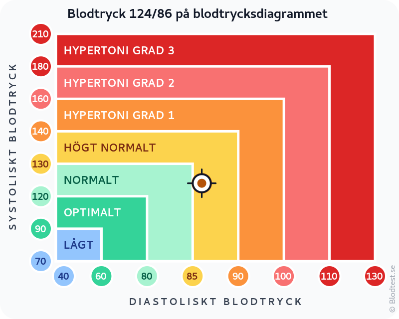 Blodtryck 124 över 86 – högt normalt blodtryck – klassificeringsdiagram med systoliskt och diastoliskt värde