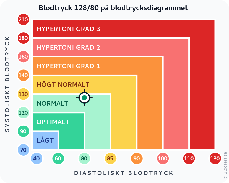 Blodtryck 128 över 80 – normalt blodtryck – klassificeringsdiagram med systoliskt och diastoliskt värde