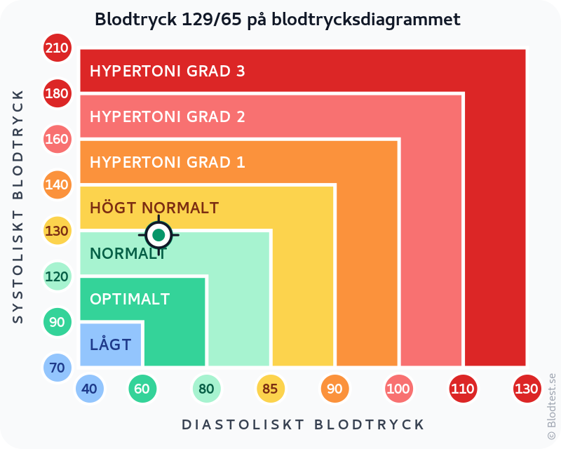 Blodtryck 129 över 65 – normalt blodtryck – klassificeringsdiagram med systoliskt och diastoliskt värde