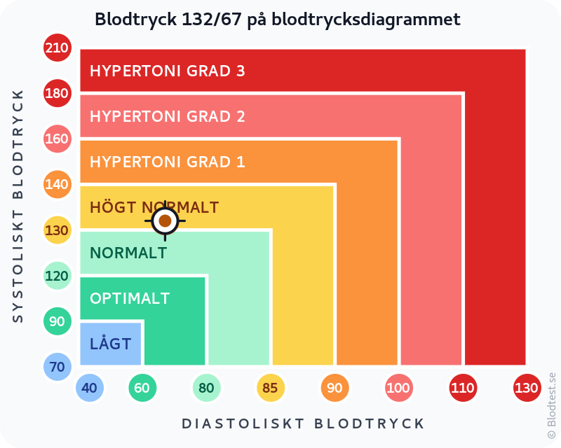 Blodtryck 132 över 67 – högt normalt blodtryck – klassificeringsdiagram med systoliskt och diastoliskt värde