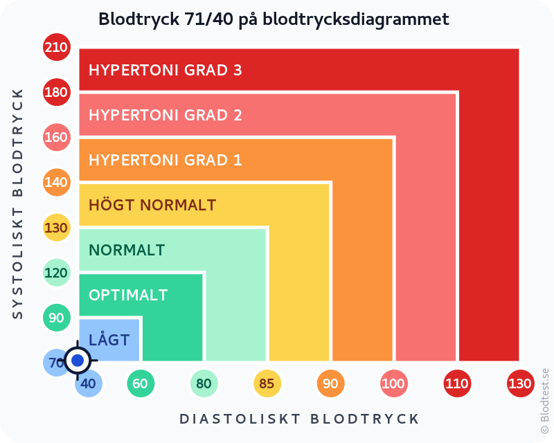 Blodtryck 71 över 40 – lågt blodtryck (hypotoni) – klassificeringsdiagram med systoliskt och diastoliskt värde