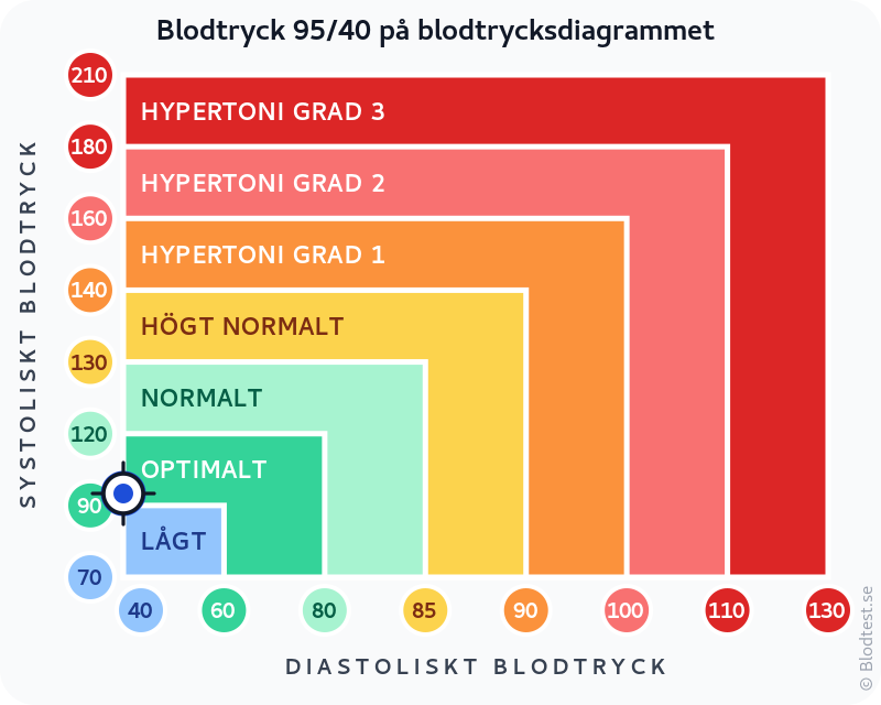 Blodtryck 95 över 40 – lågt blodtryck (hypotoni) – klassificeringsdiagram med systoliskt och diastoliskt värde